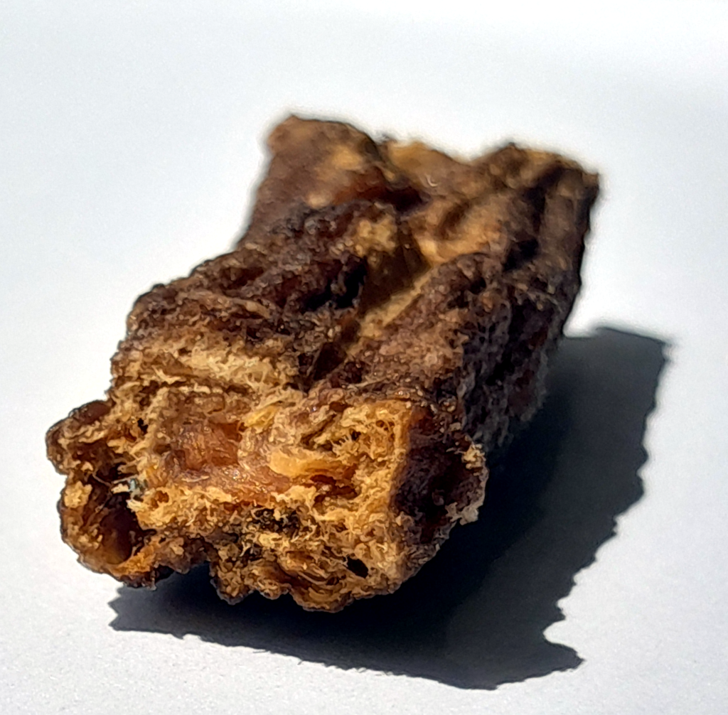 Sample Piece of Dry Meat Bites (100% Rabbit)